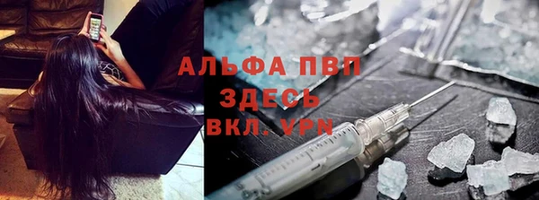 амф Бородино