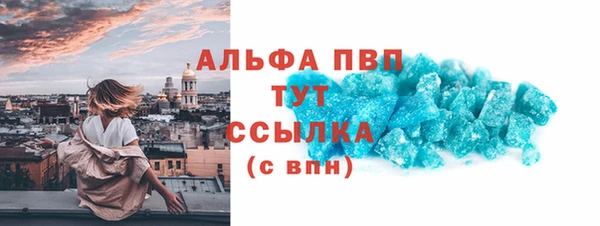 амф Бородино