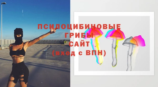 гидра Бронницы