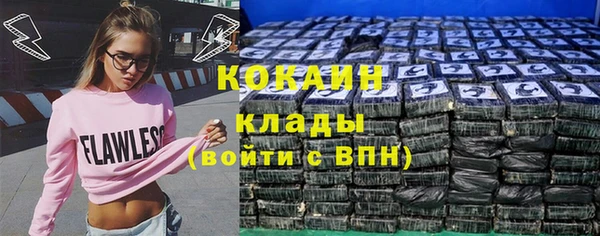 гидра Бронницы