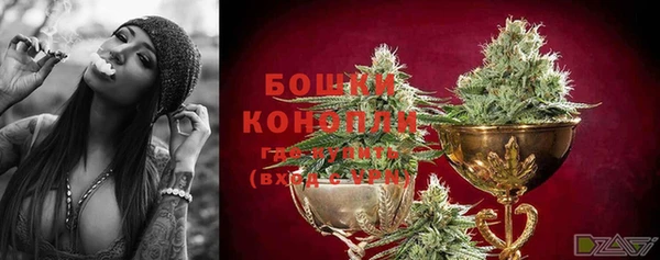 гидра Бронницы