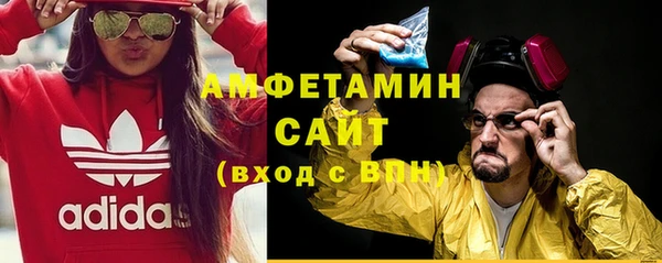 амф Бородино